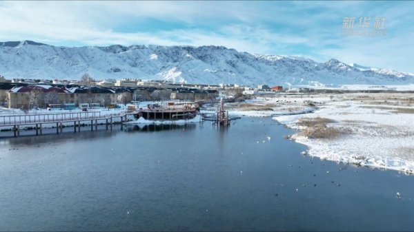 银线越天山 牧区气象新