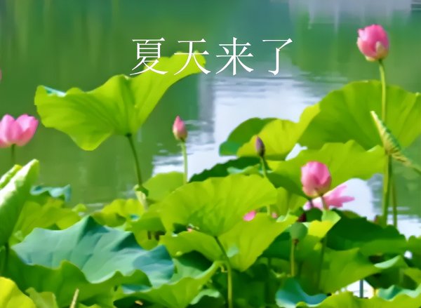 6.09股市早8点丨小登跌了老登也没涨·上方这个缺口必补