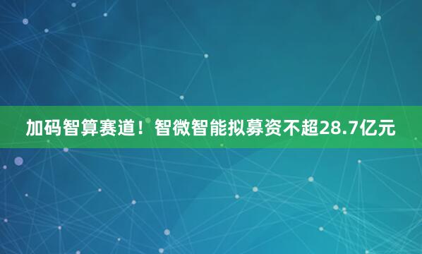 加码智算赛道！智微智能拟募资不超28.7亿元