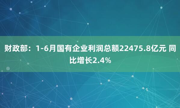 财政部：1-6月国有企业利润总额22475.8亿元 同比增长2.4%