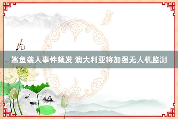 鲨鱼袭人事件频发 澳大利亚将加强无人机监测