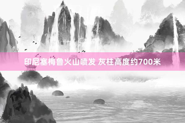印尼塞梅鲁火山喷发 灰柱高度约700米