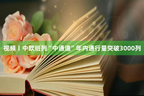 视频丨中欧班列“中通道”年内通行量突破3000列