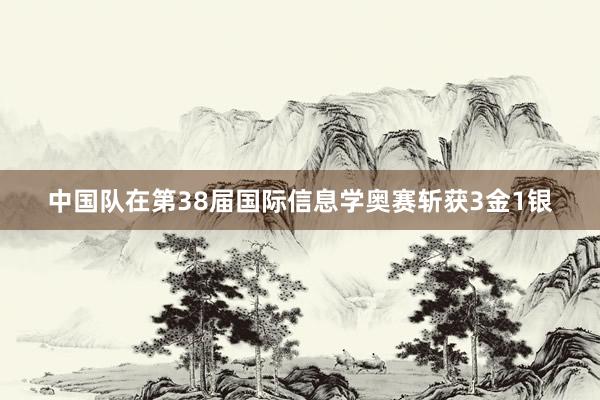 中国队在第38届国际信息学奥赛斩获3金1银