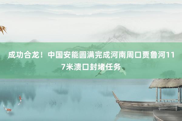 成功合龙！中国安能圆满完成河南周口贾鲁河117米溃口封堵任务