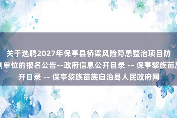 关于选聘2027年保亭县桥梁风险隐患整治项目防洪报告（一标）编制单位的报名公告--政府信息公开目录 -- 保亭黎族苗族自治县人民政府网