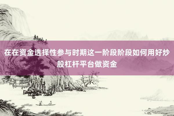 在在资金选择性参与时期这一阶段阶段如何用好炒股杠杆平台做资金