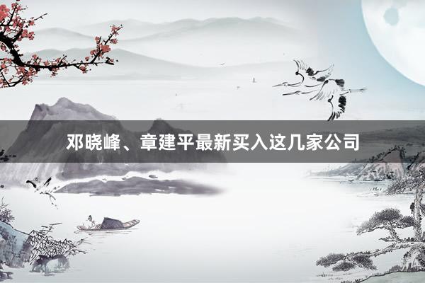 邓晓峰、章建平最新买入这几家公司