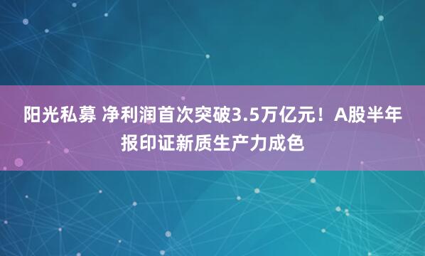 阳光私募 净利润首次突破3.5万亿元！A股半年报印证新质生产力成色
