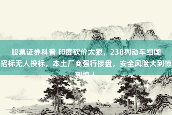 股票证券科普 印度砍价太狠，238列动车组国际招标无人投标，本土厂商强行接盘，安全风险大到惊人