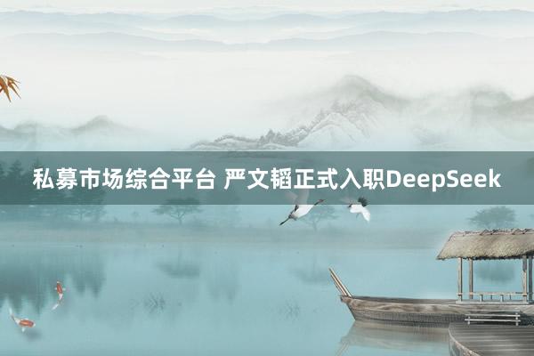 私募市场综合平台 严文韬正式入职DeepSeek