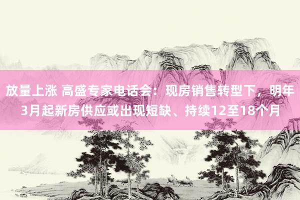 放量上涨 高盛专家电话会：现房销售转型下，明年3月起新房供应或出现短缺、持续12至18个月