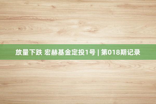 放量下跌 宏赫基金定投1号 | 第018期记录