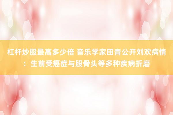 杠杆炒股最高多少倍 音乐学家田青公开刘欢病情：生前受癌症与股骨头等多种疾病折磨