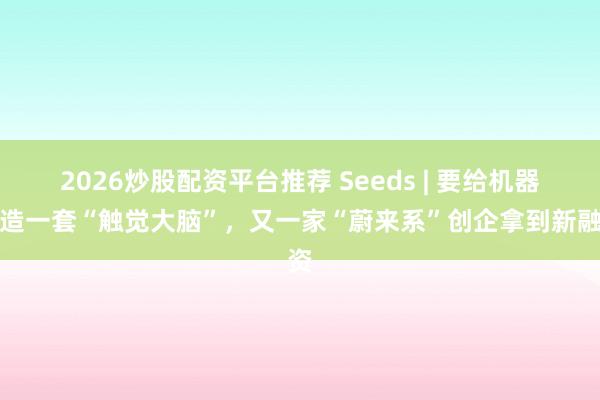 2026炒股配资平台推荐 Seeds | 要给机器人造一套“触觉大脑”，又一家“蔚来系”创企拿到新融资