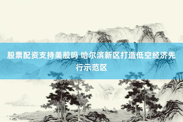股票配资支持美股吗 哈尔滨新区打造低空经济先行示范区