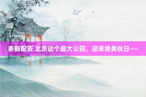 泰毅配资 北京这个超大公园，迎来绝美秋日——